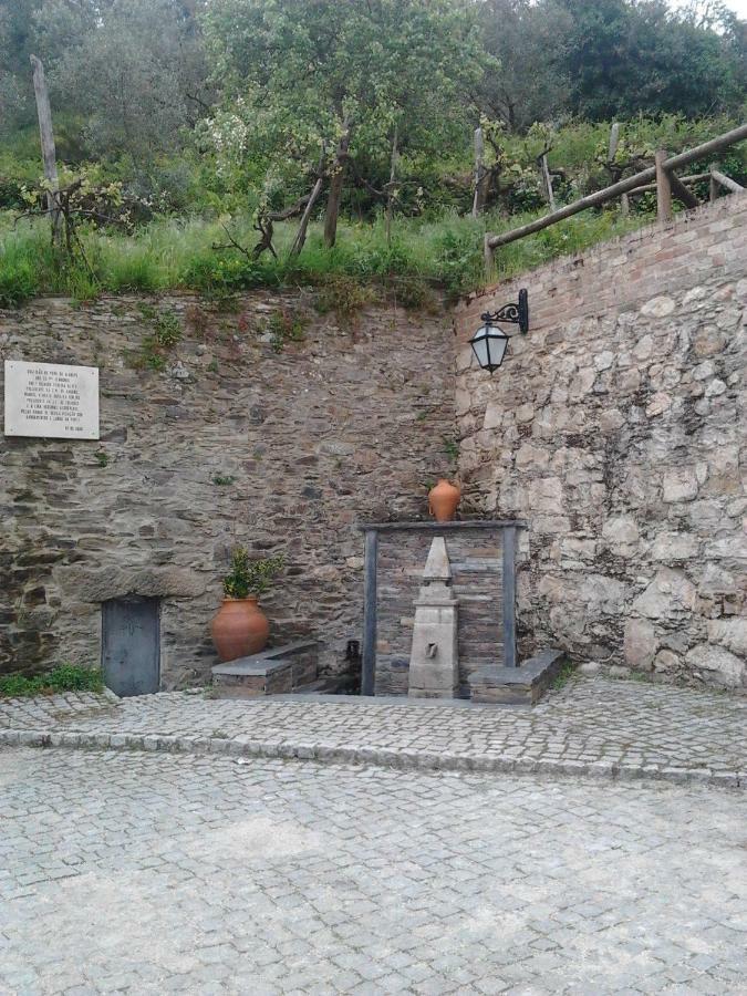 Bela Vista Alqueve - Traditional Stone House And Private Pool アルガニル エクステリア 写真